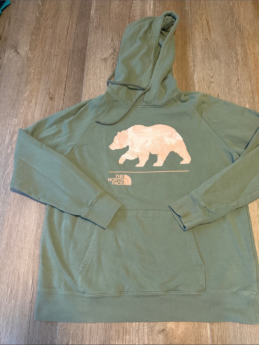 The North Face pullover hoodie featuring a distinctive bear graphic